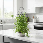 Plant Trellis for Climbing Plants Indoor Outdoor, Trlzey 3 Pack Stackable Metal - Image 7