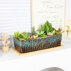 Succulent Pots - 12 Inch Large Succulent Planters - Image 4