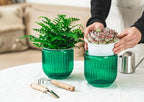 Melphoe 2 Pack Self Watering Hanging Planters Indoor Flower Pots, 5.3 Inch - Image 3