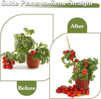 Plant Stakes 16inch, HAINANSTRY Plant Support Stakes - Image 6