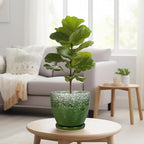Ceramic Pots for Plants - Image 7