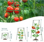 Cucumber Trellis Garden Trellis Arch Trellis, Tall Trellis - Image 4