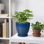 6.8 Inch Plant Pot - Image 2