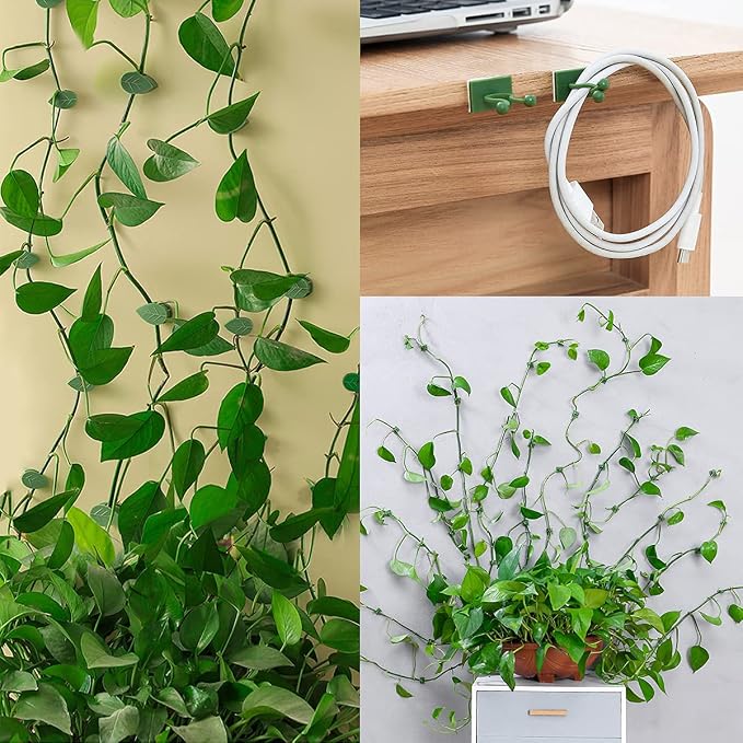 100 Pcs Plant Climbing Wall Fixture Clips Self-Adhesive Hook Vines Traction - Image 4