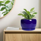 SQOWL Ceramic Plant Pot - Image 7