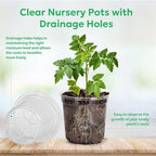 50 Packs 4 Inch Reinforced Clear Nursery Pots - Image 3
