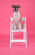 Flash Furniture Hercules™ Series Folding Chair - Image 19