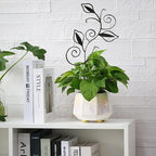 Decorative Metal Plant Trellis for Indoor Potted Plants – Leaf Shape Vine - Image 5