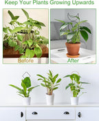 4 Pack Indoor Climbing Plant Trellis, Small Trellis - Image 3