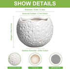 4 inch Plant Pots - Image 2