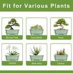 Bonsai Pots - 13.7 Inch Rectangle Ceramic Pots - Image 7