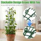 Plant Support Stakes, Stackable Plant Trellis - Image 6