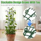 Plant Support Stakes, Stackable Plant Trellis - Image 6