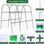 Cucumber Trellis for Raised Bed - Image 2