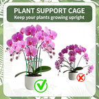 12 Pack Plant Support Stakes Sets - Image 2