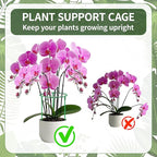 36 Pack Plant Support Stakes Sets - Image 2