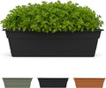 Bloem Dura Cotta 18" Black Resin Rectangle Window Box Planter by Bloem
