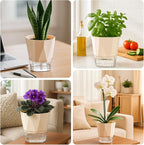 2 Pack Self Watering Pots for Indoor Plants, 8.4" Self Watering Planters Large - Image 6