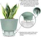 Green Self Watering Plant Pots - Image 5
