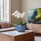 10 Inch Plant Pot - Image 4