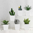 Anyumocz 24Pcs 3" Square Plastic Plant Pots, Seedling Nursery Transplanting - Image 6