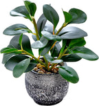 AlphaAcc Artificial Plants Potted Real Looking Small Faux Plant by AlphaAcc