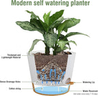 12 inch Large Self Watering Pots - Image 4