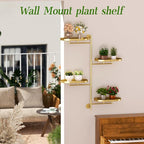 Window Rotating Plant Stand Shelf Indoor Gold Metal Floating Shelves 4-Tier - Image 7
