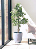 Kante 14 Inch Dia Round Concrete Planter, Indoor Outdoor Large Plant Pot - Image 6