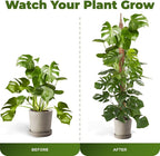 2 Pack 48'' Bendable Moss Pole Monstera Plant Support - Image 5