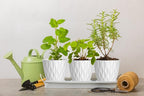 6 Inch Plant Pots, 6 Pack Indoor Flower Pots, Planters - Image 5
