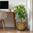 12 Inch Plant Pot - Image 3