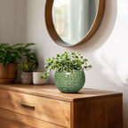 Ceramic Plant Pots - Image 6