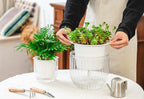 Josteve 5.2/8.2 Inch 2 Pcs Self Watering Hanging Planter Indoor Plant Pots - Image 4