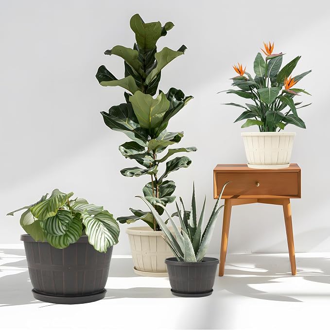 Quarut 12 Inch Large Planter Pot - Image 5