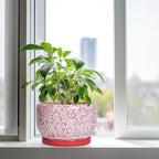SQOWL Ceramic Planters for Indoor Plants - Image 4