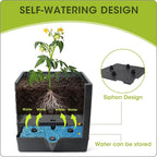 MQFORU Raised Garden Bed, Tomato Cages - Image 3