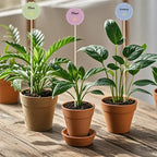 40 PCS Bamboo Plant Stakes 18 Inch, Wood Plant Support - Image 9