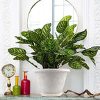 Plastic Flower Pots Planters for Indoor Plants, 4 Pack 16 Inch White Plant Pots - Image 6