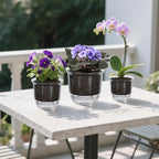 Plant Pots 6/5/4 inch Set of 3, Self Watering Pots - Image 9