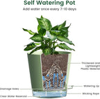 6 inch Self Watering Pots for Indoor Outdoor Plants, 3 Pack Flower Plant Pots - Image 4