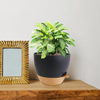10 inch Self Watering Pots, 2 Pack Plastic Planters - Image 7
