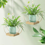 Hanging Planter for Indoor Plants, Plant Hanger - Image 6