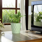 4 Inch Plant Pots, 6 Pack Indoor Flower Pots, Planters - Image 6