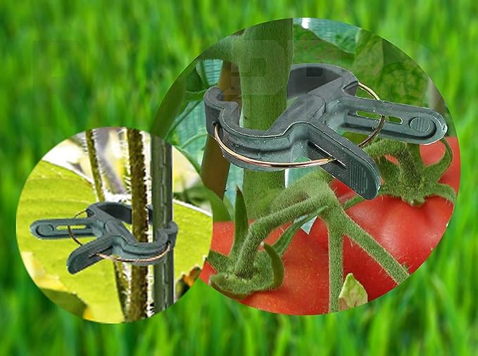 Plant Clips 80 Piece Green Gentle Gardening Plant & Flower Lever Loop Gripper - Image 4