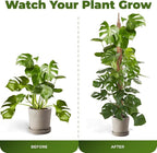 2 Pack 63 Inch Bendable Moss Pole Monstera Plant Support Stakes - Image 5
