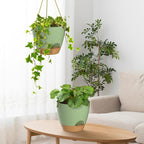 ZMTECH 8 Inch Hanging Planters for Indoor Outdoor Plants, 2 Pack Self Watering - Image 6