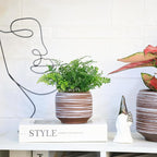 Mini Succulent Planter Set – 3.7 Inch Ceramic Pots - Image 7