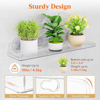 Lifewit Window Plant Floating Shelves 14.6x3.6, 2 Pack Acrylic Suction Cup Shelf - Image 4