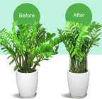 LEOBRO 12PCS Plant Supports, Peony Cages and Supports, Plant Stakes, Plant - Image 7